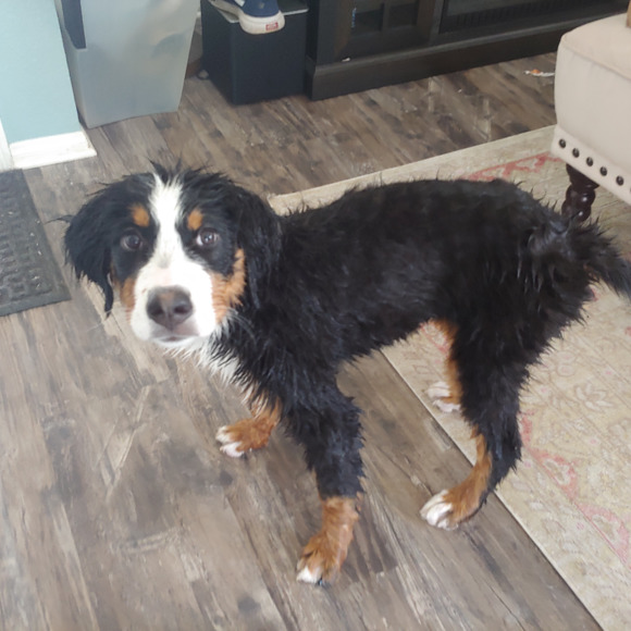 Profile Picture of Ashley Kemmett (@ashleykemmett) on Poshmark