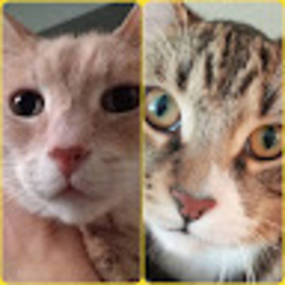 Profile Picture of Murisonfamily Murison (@murisonfamily) on Poshmark