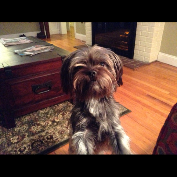 Profile Picture of Kathy Walters (@kathyw118) on Poshmark