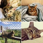 Profile Picture of Mitcha, Pandora e Richard (@mitcha_pandora_richard) on Instagram