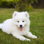 Profile Picture of Clayton Edward (@claytonedwarddf) on Instagram