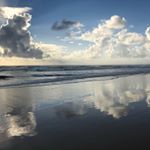 Profile Picture of Caroline Stuart (@anatomy_for_yoga) on Instagram