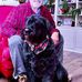 Profile Picture of Michael Brenneman (@michael.brenneman.79) on Facebook