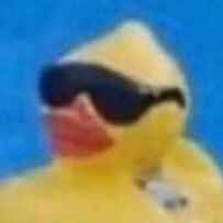 Profile Picture of Robert Knutsson (@robert.knutsson) on Tiktok