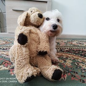 Profile Picture of MarciRéka Jelen (@jelenmarcireka) on Pinterest