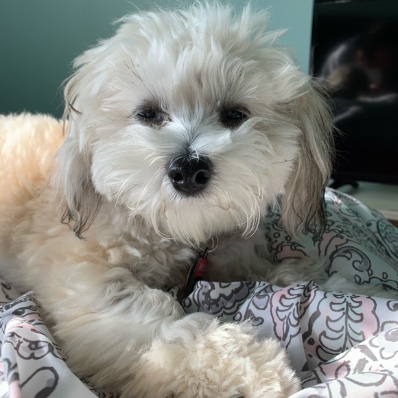 Profile Picture of Claudia Fillion (@cfillion13) on Poshmark