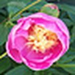 Profile Picture of Carl Hall (@everett4) on Flickr