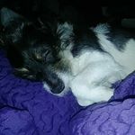 Profile Picture of Luke Fitzwater (@deepbluearcticeyes) on Instagram