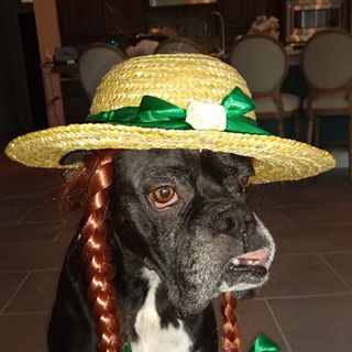 Profile Picture of Glenn Pellegrino (@glenn.pellegrino) on Facebook