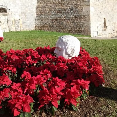 Profile Picture of Aniceto Pérez (@OratoriaFacil) on Twitter