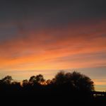 Profile Picture of Bryce Werner (@wernerbryce) on Instagram