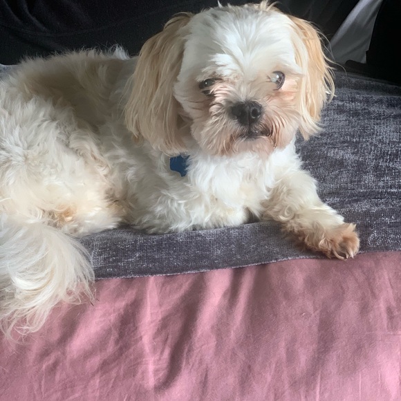 Profile Picture of Kendall Goudelock (@kendallsimone) on Poshmark