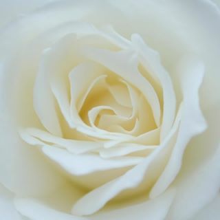 Profile Picture of Dila Isler (@dila.isler) on Facebook