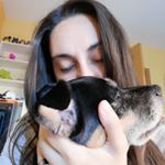 Profile Picture of Verónica Vallecillo (@shivala) on Instagram