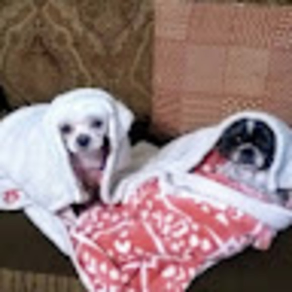 Profile Picture of Dr. kristin Bewick (@d_bewick) on Poshmark