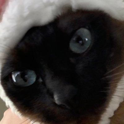 Profile Picture of Hamb (@AdamHolguin5) on Twitter