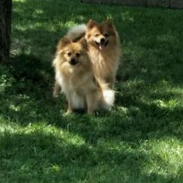 Profile Picture of Bill Simes (@BillSimes) on Twitter