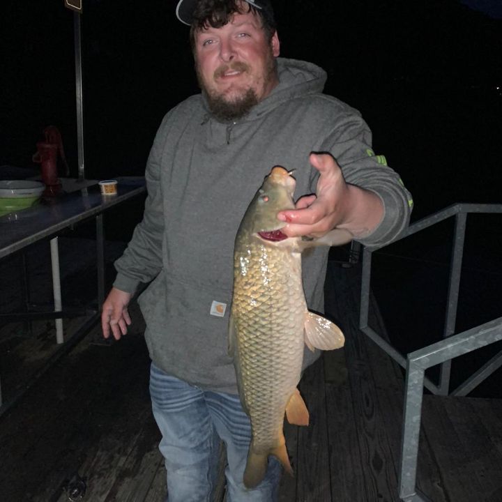 Profile Picture of Robert Kaune (@robertkaune) on Tiktok