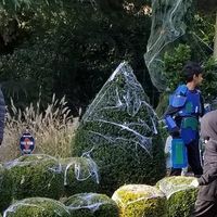 Profile Picture of Janet Mend (@janet-mend) on Quora