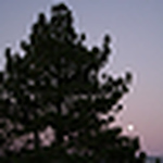 Profile Picture of Laura Barry (@laura barry) on Flickr