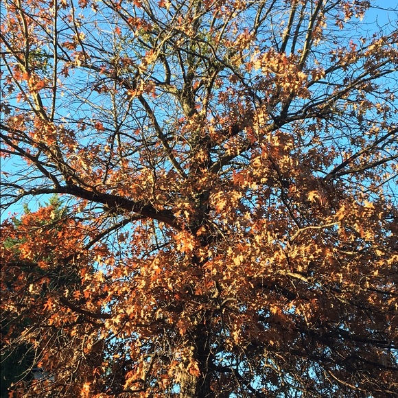 Profile Picture of Raven Perry (@raven2421) on Poshmark