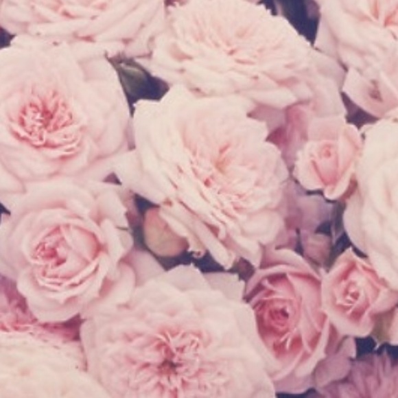 Profile Picture of Bronwyn Hairston (@bronwynnn) on Poshmark