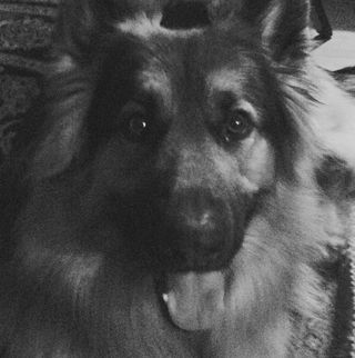 Profile Picture of Derek Tamburro (@Derek-Tamburro) on Facebook