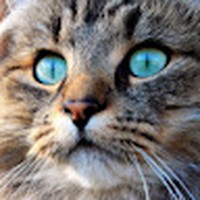 Profile Picture of Luca Schindler (@luca-schindler-3) on Quora