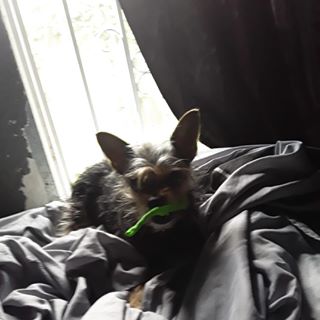 Profile Picture of Joshua Roberts (@joshua.roberts.18847876) on Facebook
