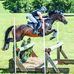 Ellen DoughtyHume Eventer - Facebook Profile Picture of Ellen DoughtyHume Eventer (@txhorsetrainer) on Facebook