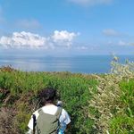 Profile Picture of Ivan David Schettino (@affaman) on Instagram