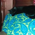 Profile Picture of Mark Searles (@mark.searles.33) on Instagram