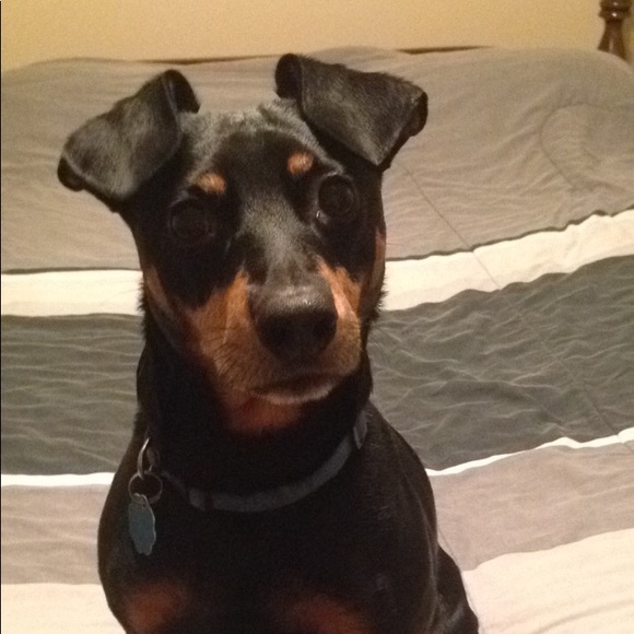 Profile Picture of John Frauenhoffer (@jhfrauenhoffer) on Poshmark