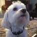 Profile Picture of William Fielding (@emptyslot) on Pinterest