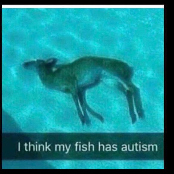 Profile Picture of Vaughn Beallis (@vabeallis) on Poshmark