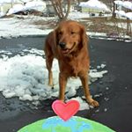 Profile Picture of Debra Bradley (@debra.bradley.9279) on Instagram