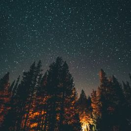 Profile Picture of A.shirazi (@ashirazi8) on Twitter