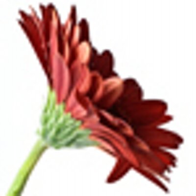 Profile Picture of CG Photography (@CGaylephoto) on Twitter
