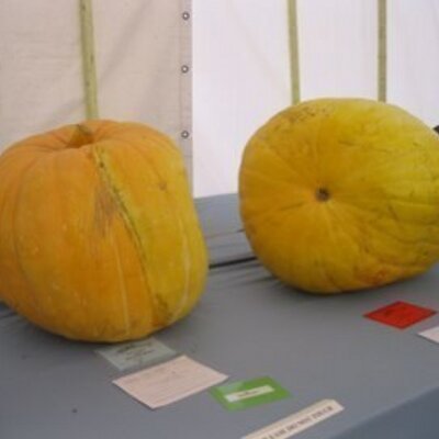 Profile Picture of Dave Watkinson (@DaveWatkinson) on Twitter