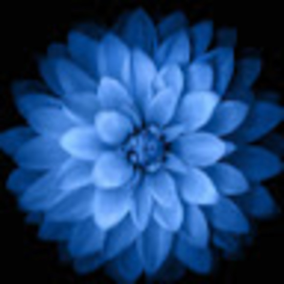 Profile Picture of Gabriela Casarrubias (@casarrubiasgaby) on Poshmark