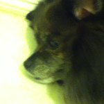 Profile Picture of Gg Swagg (@gypsydavis101) on Instagram