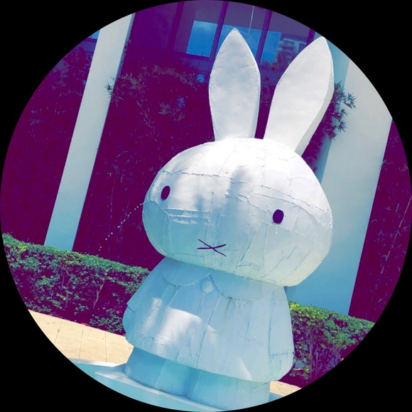 Profile Picture of Marcella Framondi (@framondi) on Poshmark