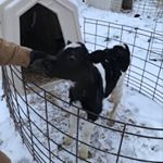 Profile Picture of Ted (@t_moody23) on Instagram