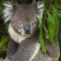 Profile Picture of Jacqueline Harrison (@jacqueline-harrison-5) on Quora