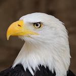 Profile Picture of Edwin Irizarry (@irizarry1905) on Instagram