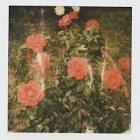 Profile Picture of   TikTok Jay (@jellodo) |... (@jellodo) on Tiktok