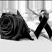 Profile Picture of Daniel Aybar (@daniel.aybar.566) on Facebook