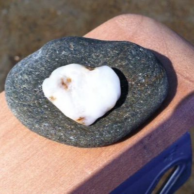 Profile Picture of Tricia Moore (@Moore_Tricia) on Twitter