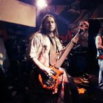 Profile Picture of Steve Banyai (@stevebanyai) on Instagram