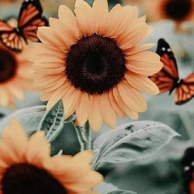 Profile Picture of Lucy Uribe (@LucyUribe18) on Twitter